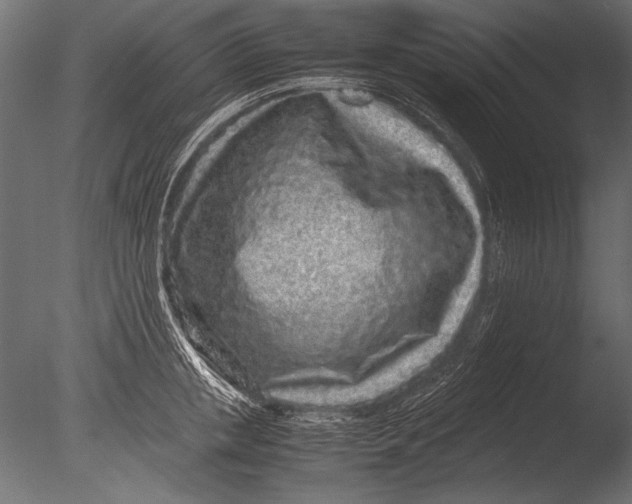 X0000085050853200703261136
