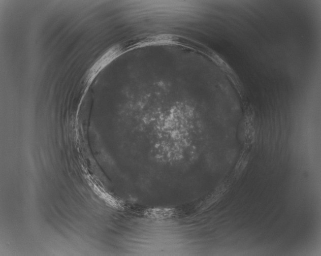 X0000085050858200703261136
