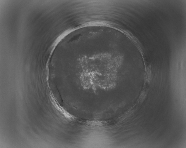 X0000085050862200703261136