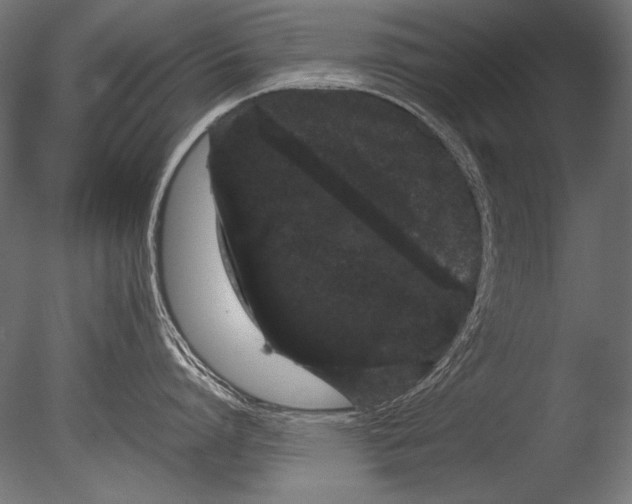 X0000085050864200703261136