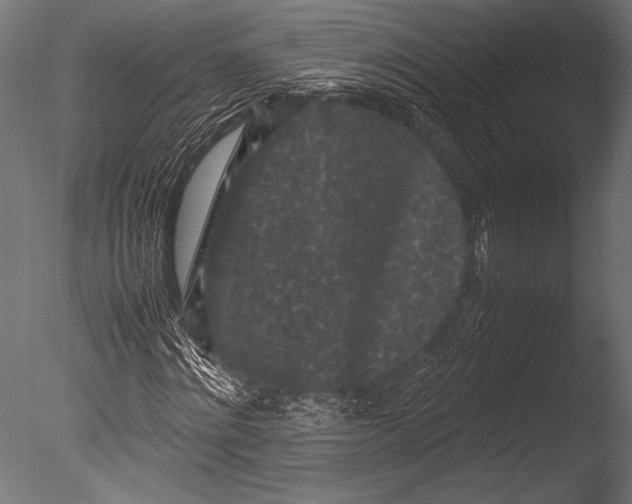 X0000085050868200703261135