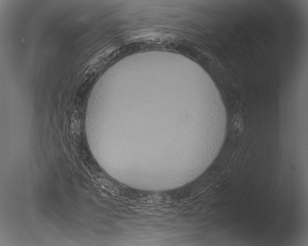X0000085050869200703261135