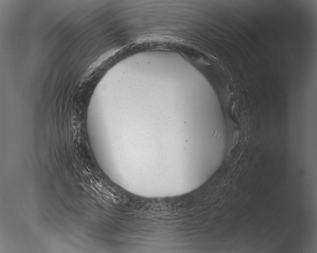 X0000085050872200703261135