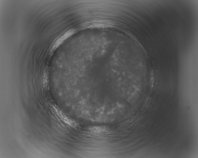 X0000085050874200703261135