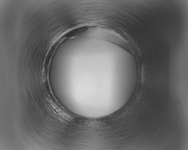 X0000085050876200703261135