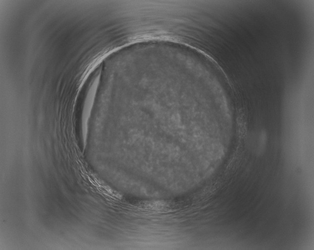 X0000085050879200703261135