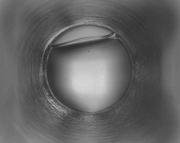 X0000085050880200703261135