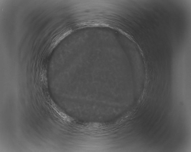 X0000085050881200703261135