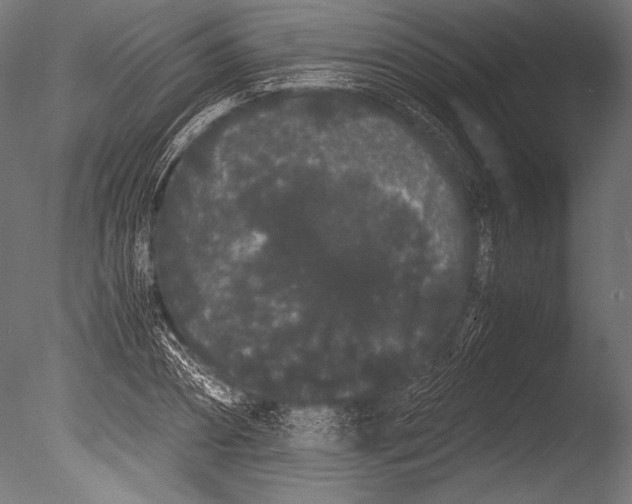 X0000085050882200703261135