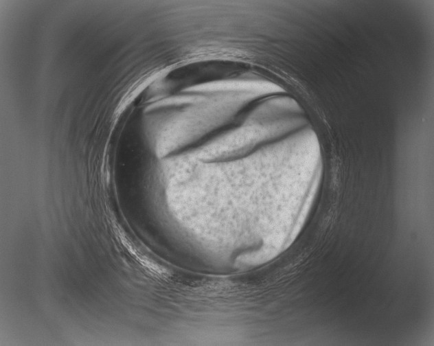 X0000085050885200703261135
