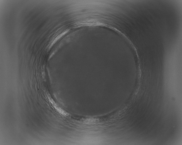 X0000085050889200703261135