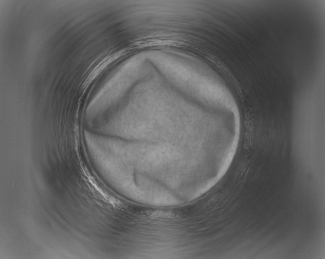 X0000085050890200703261135