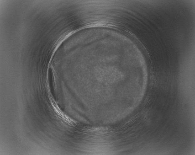 X0000085050892200703261134