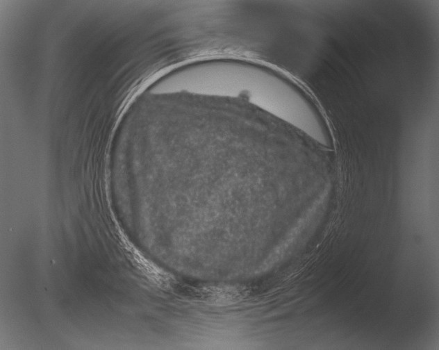 X0000085050895200703261134