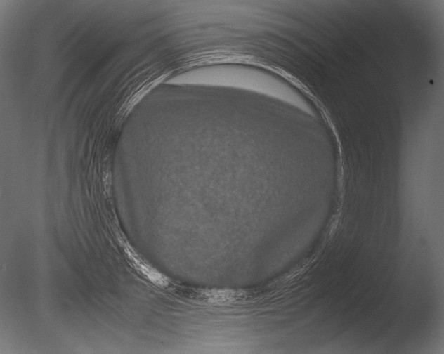 X0000085050897200703261134