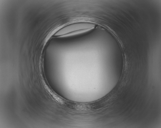 X0000085050901200703261134