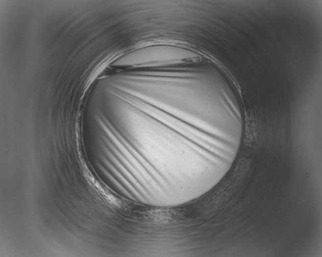 X0000085050906200703261134