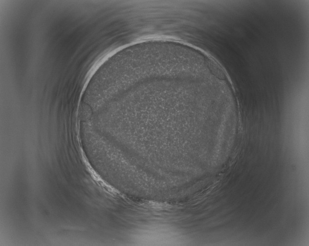 X0000085050911200703261134