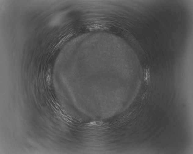 X0000085050915200703261133