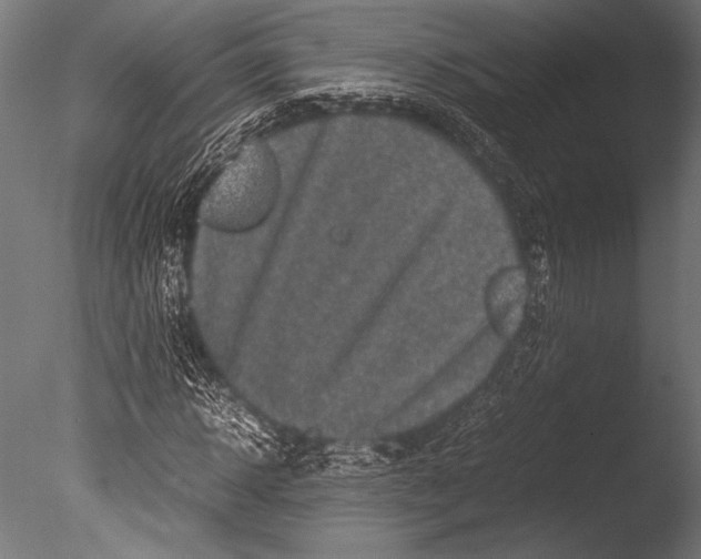 X0000085050918200703261133