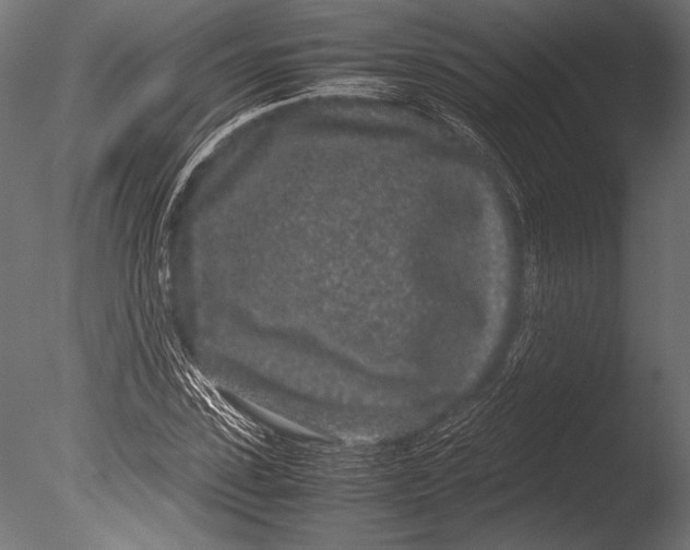 X0000085050923200703261133