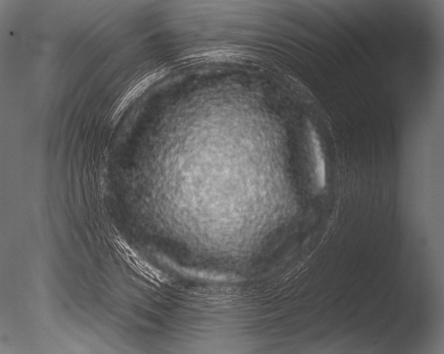 X0000085050930200703261134