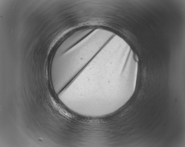 X0000085050934200703261134