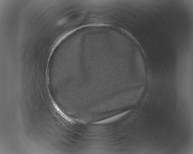 X0000085050935200703261134