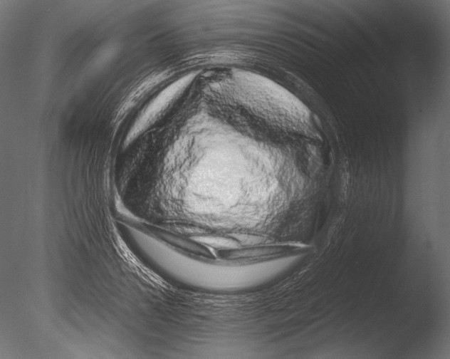 X0000085050938200703261134