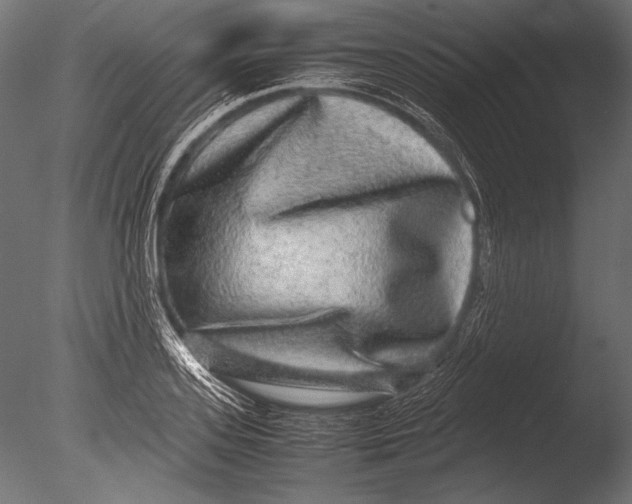 X0000085050939200703261134