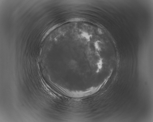 X0000085050945200703261134