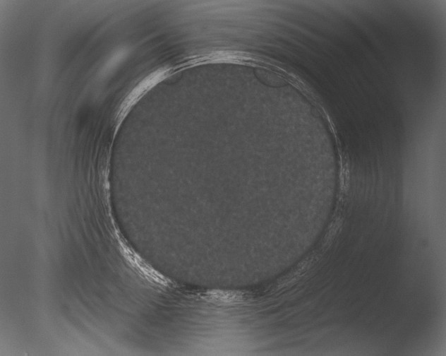 X0000085050954200703261134