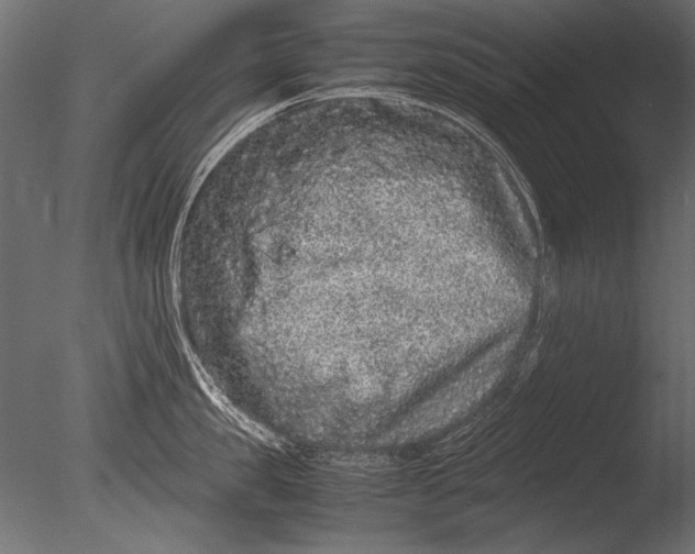 X0000085050957200703261134