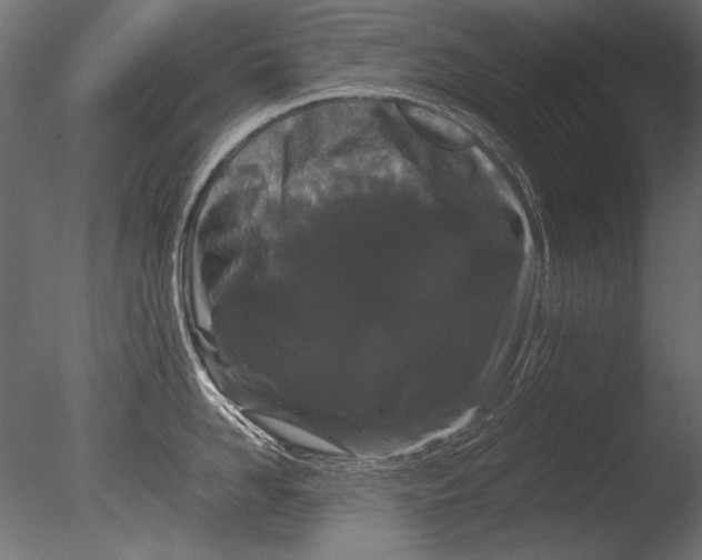 X0000085050958200703261134