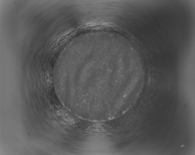 X0000085050966200703261133
