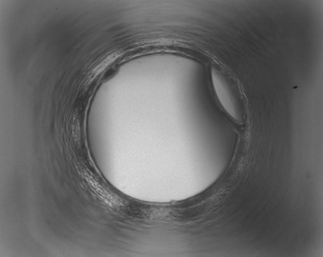 X0000085050969200703261133