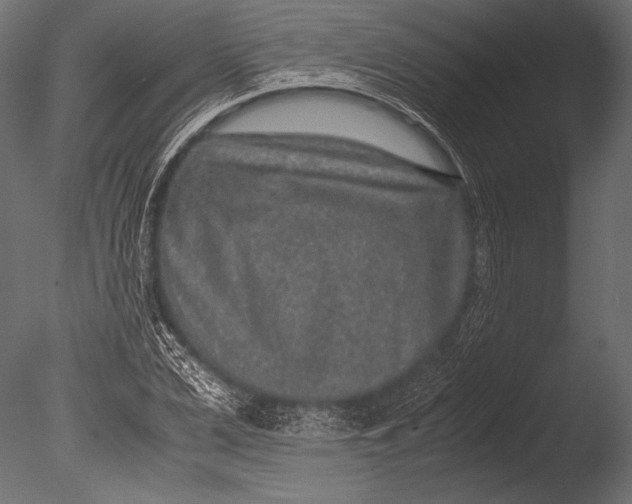 X0000085050975200703261133