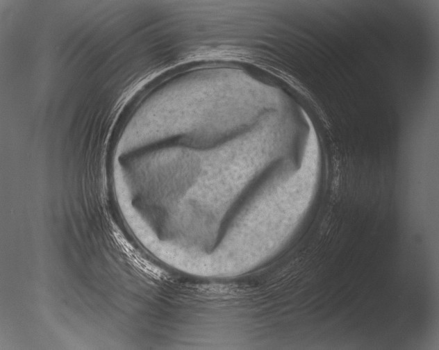 X0000085050980200703261133