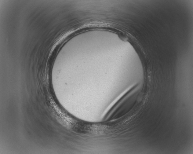 X0000085050981200703261133