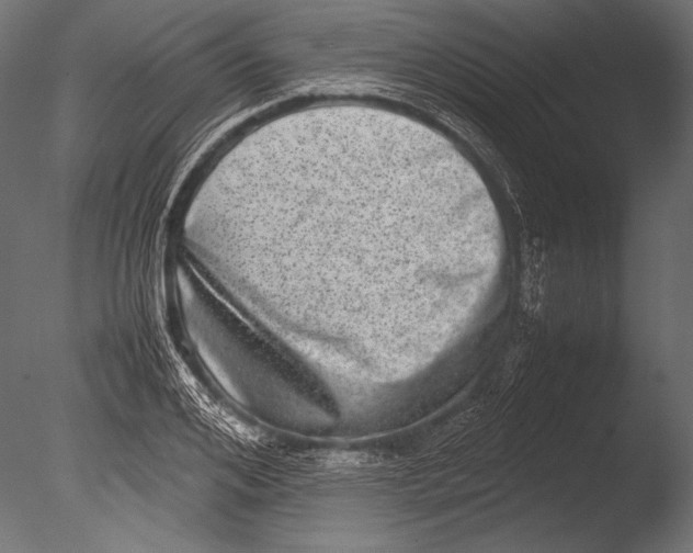 X0000085050984200703261133