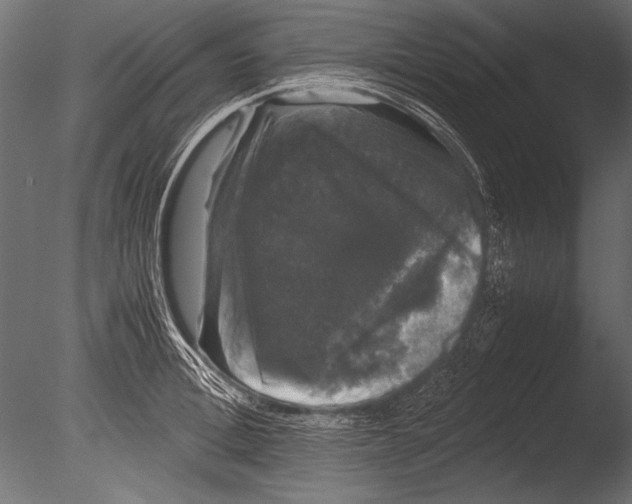 X0000085050996200703261133