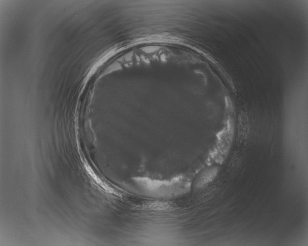 X0000085050998200703261133