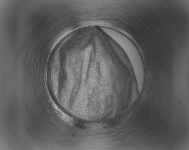 X0000085050999200703261133