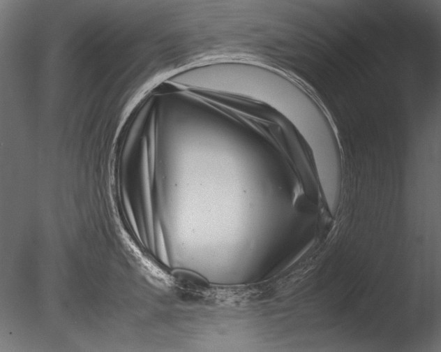 X0000085051005200703261132