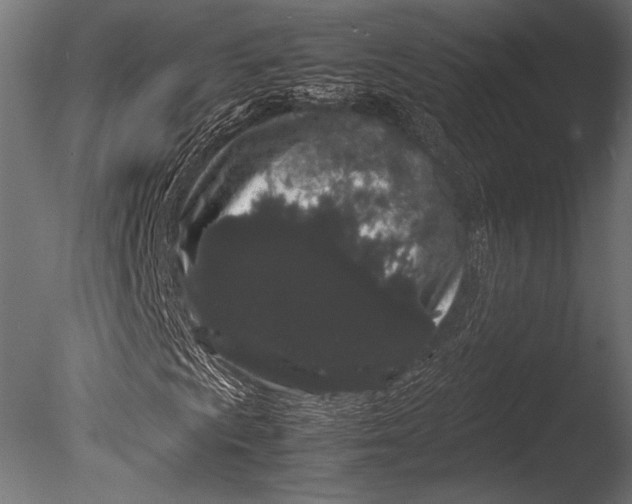 X0000085051009200703261132