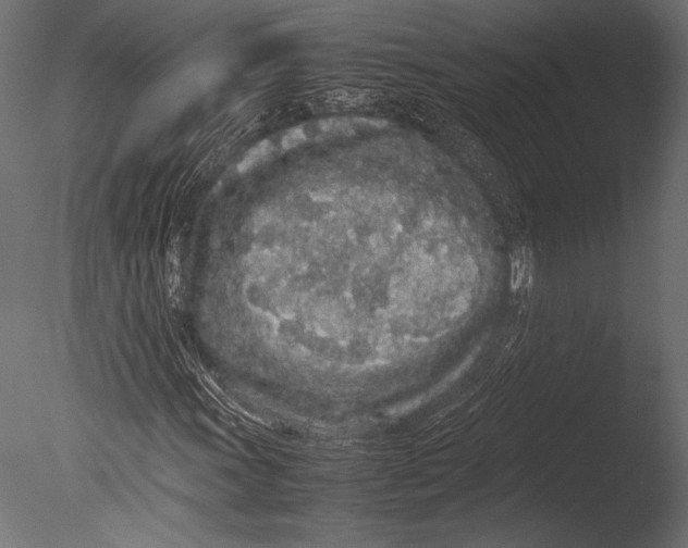 X0000085051011200703261132