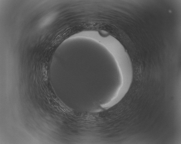 X0000085051013200703261132