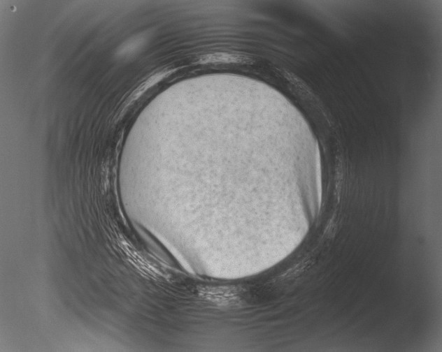 X0000085051017200703261132