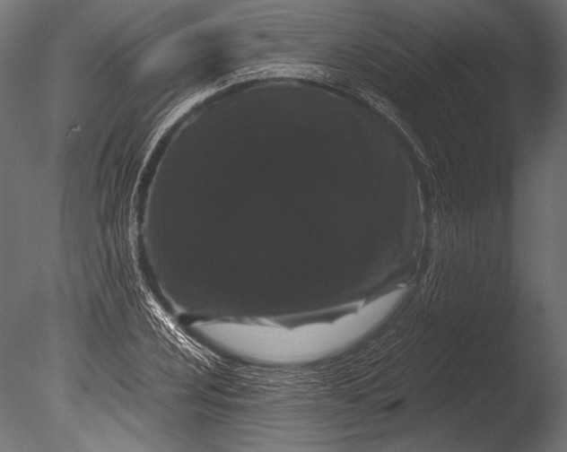 X0000085051024200703261132