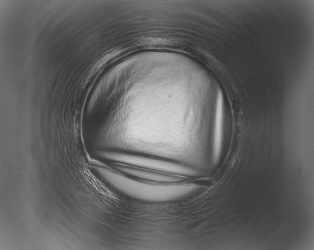 X0000085051025200703261132